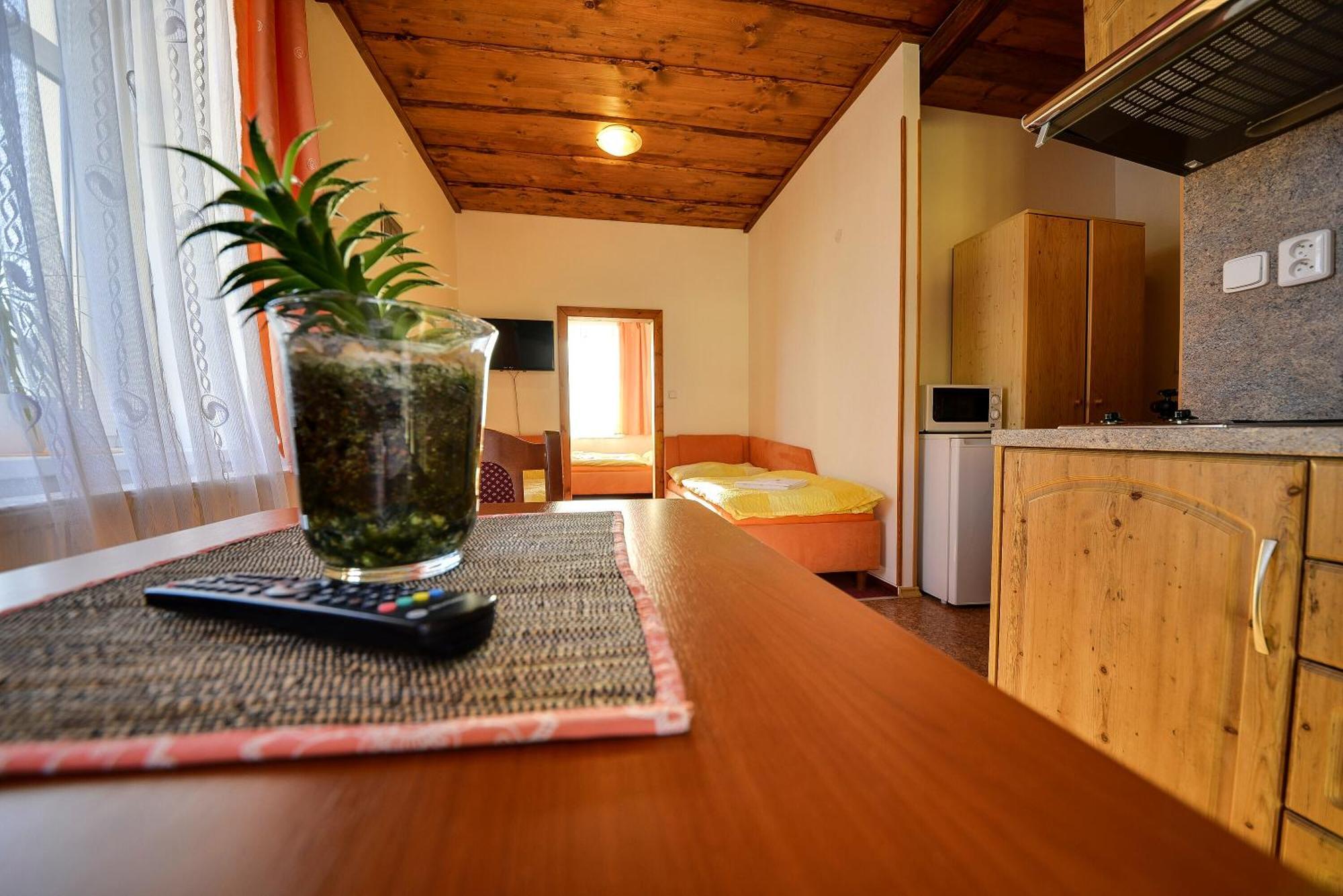 Penzion Kamenak Horní Planá Buitenkant foto